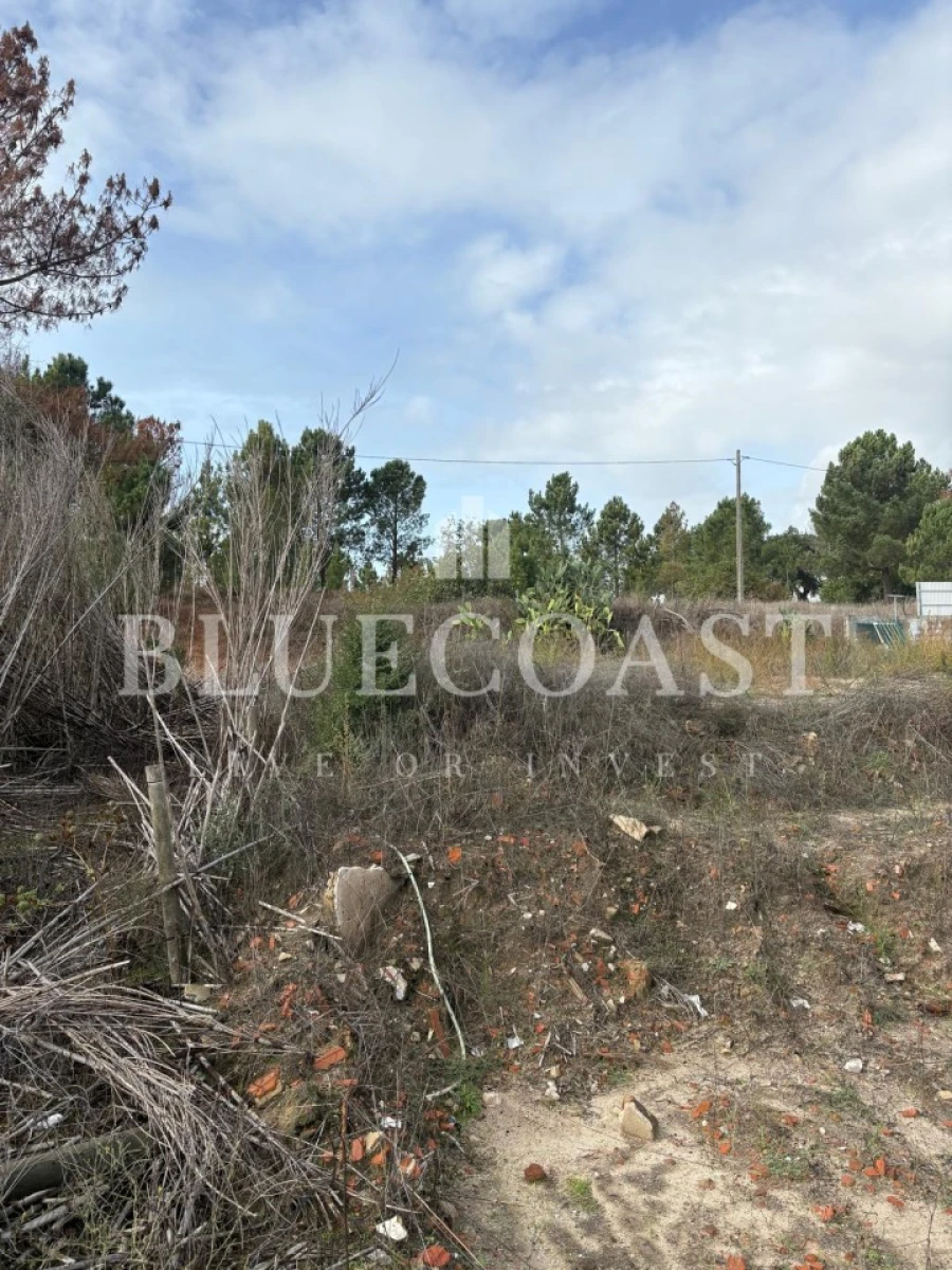 Terreno para Venda em Poceirão e Marateca Foto 14