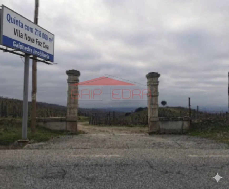 Terreno Agricola ou Rústico para Venda em Almendra Foto 1