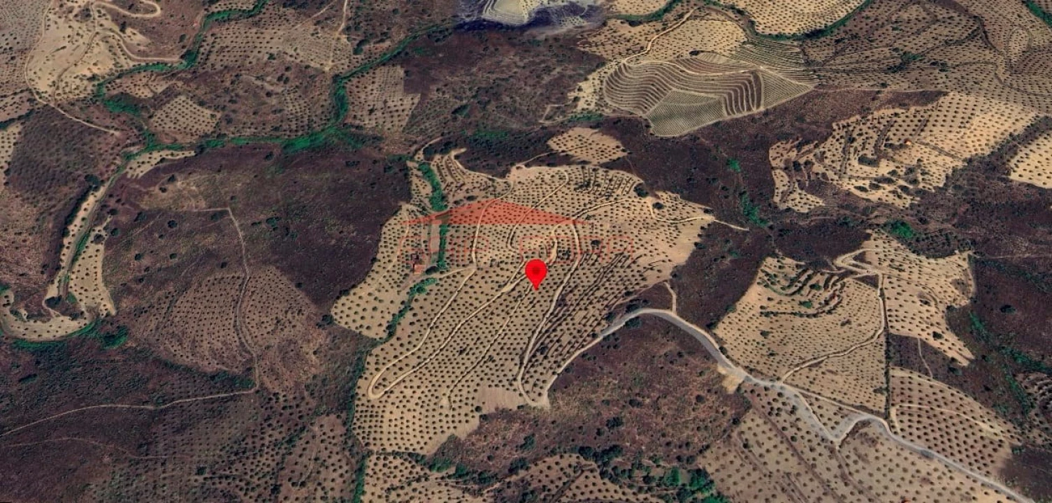 Terreno Agricola ou Rústico para Venda em Almendra Foto 2
