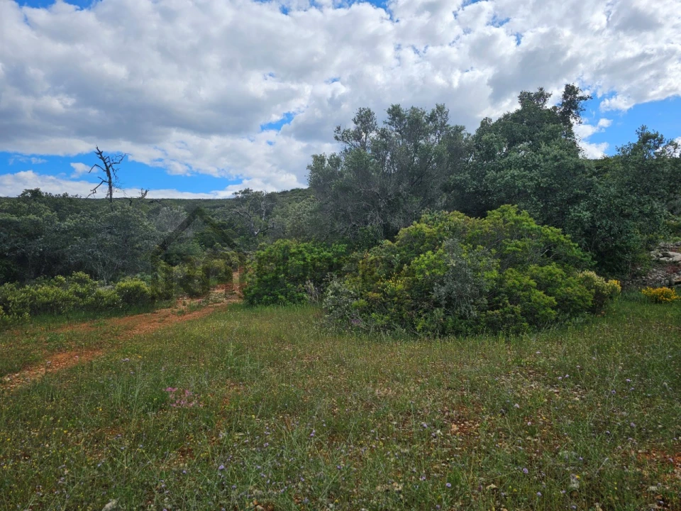 Terreno Agricola ou Rústico para Venda em Loule (São Clemente) Foto 1