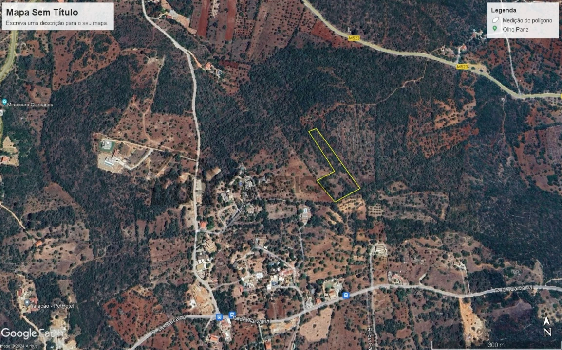 Terreno Agricola ou Rústico para Venda em Loule (São Clemente) Foto 3