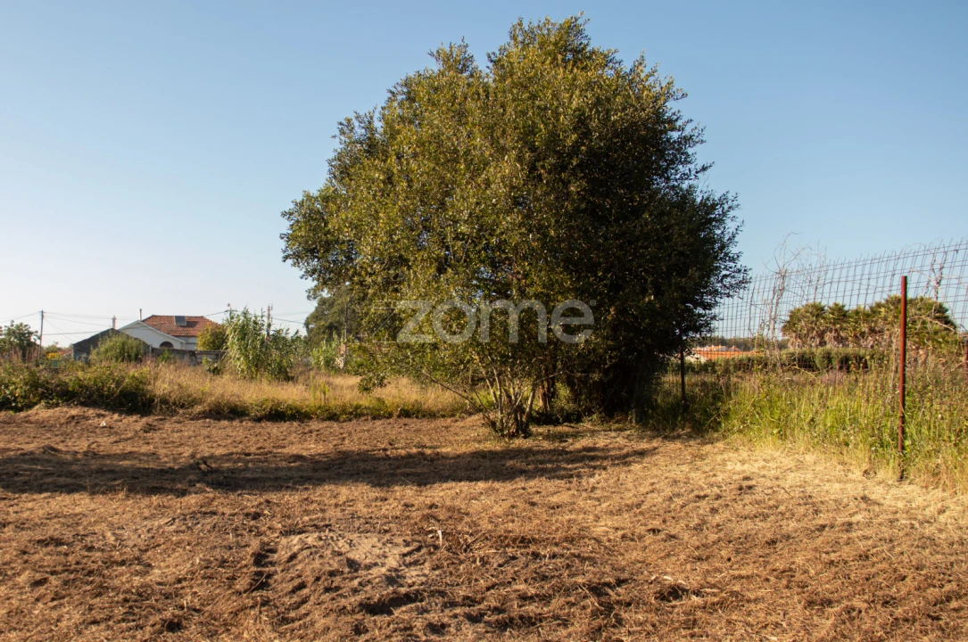 Terreno para Venda em Gulpilhares e Valadares Foto 7