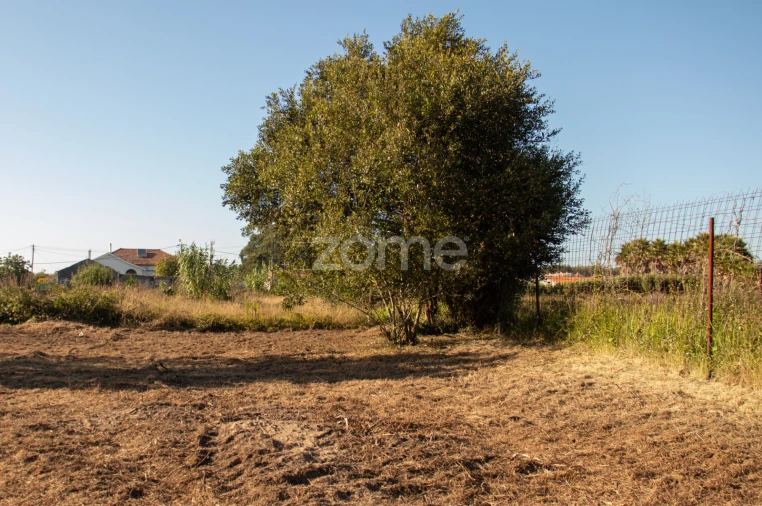 Terreno para Venda em Gulpilhares e Valadares Foto 7