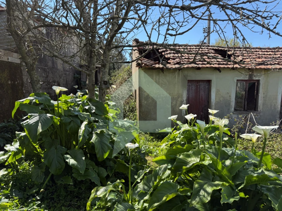 Moradia para Venda em Rio Covo (Santa Eugenia) Foto 8