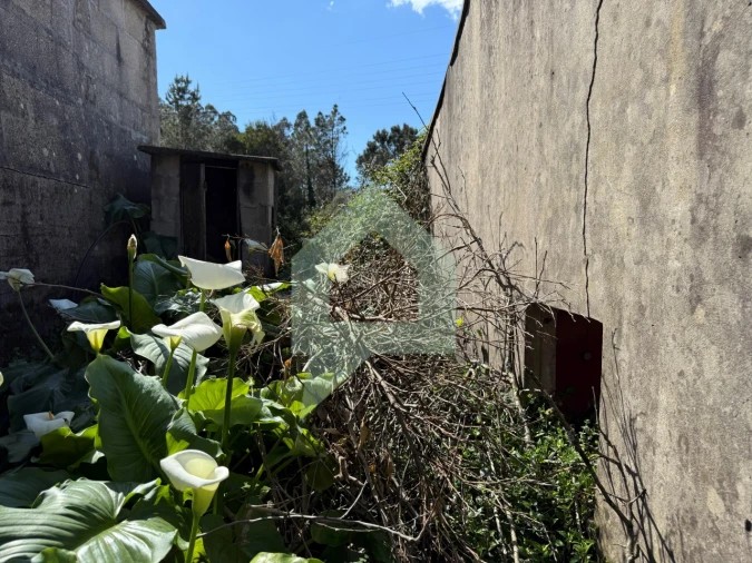 Moradia para Venda em Rio Covo (Santa Eugenia) Foto 12