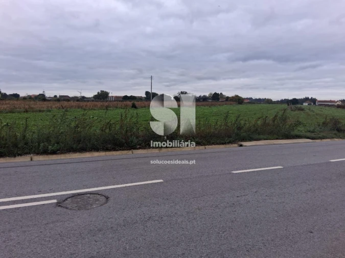 Terreno para Venda em Requeixo, Nossa Senhora de Fátima e Nariz Foto 6