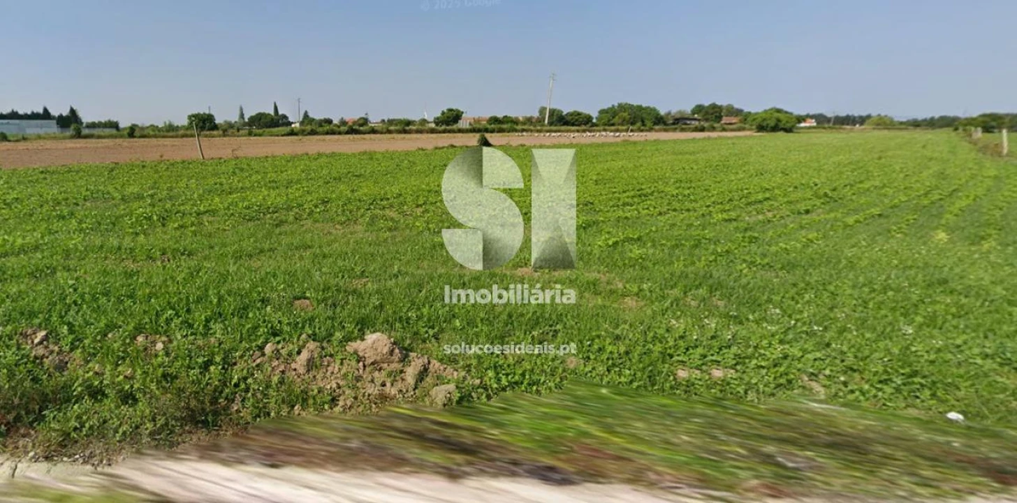 Terreno para Venda em Requeixo, Nossa Senhora de Fátima e Nariz Foto 2