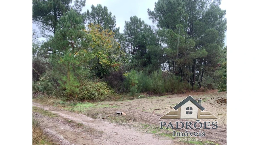 Terreno para Venda em Carva e Vilares Foto 2