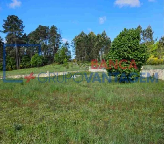 Moradia T6 para Venda em Vila Nova de Paiva, Alhais e Fráguas Foto 15