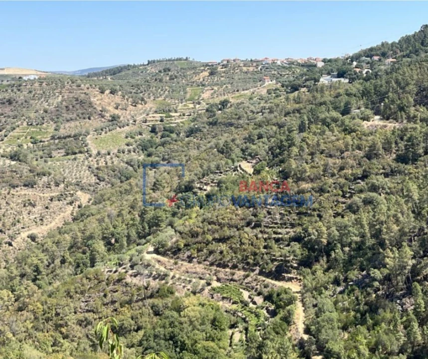 Terreno Agricola ou Rústico para Venda em Vila Seca e Santo Adrião Foto 1