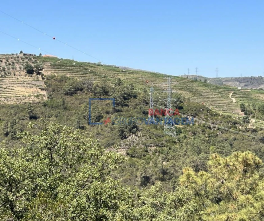 Terreno Agricola ou Rústico para Venda em Vila Seca e Santo Adrião Foto 2