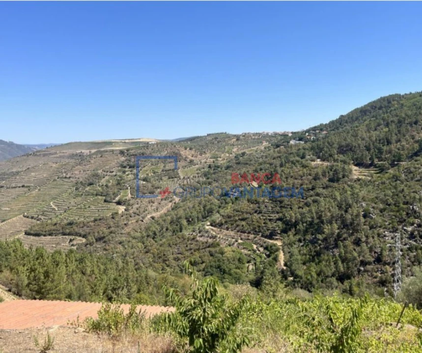 Terreno Agricola ou Rústico para Venda em Vila Seca e Santo Adrião Foto 3