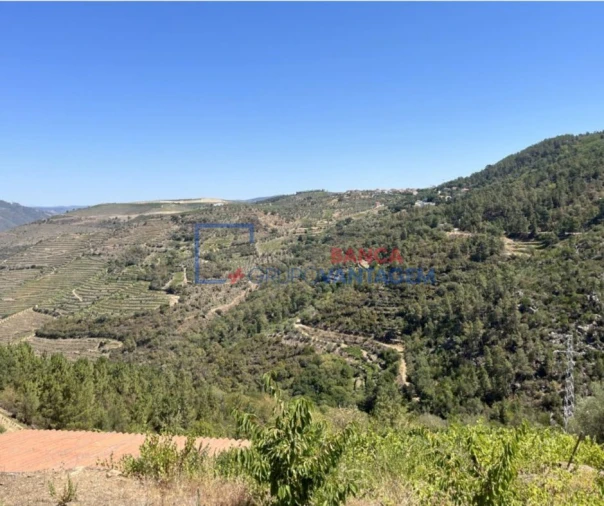 Terreno Agricola ou Rústico para Venda em Vila Seca e Santo Adrião Foto 3