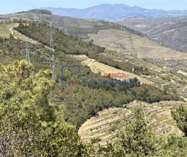 Terreno Agricola ou Rústico para Venda em Vila Seca e Santo Adrião Foto 4