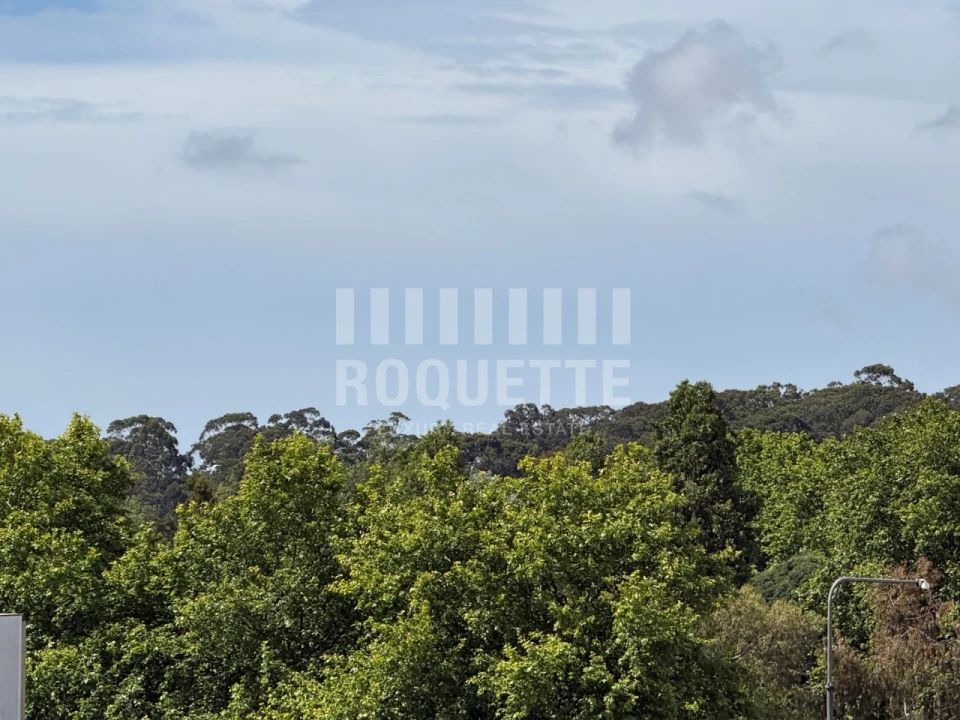 Apartamento T3 para Venda em Aldoar, Foz do Douro e Nevogilde Foto 12