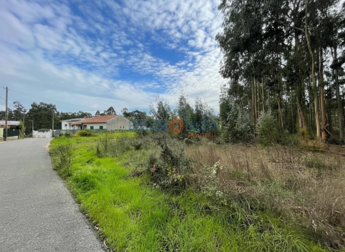 Terreno para Venda em Recardães e Espinhel Foto 6