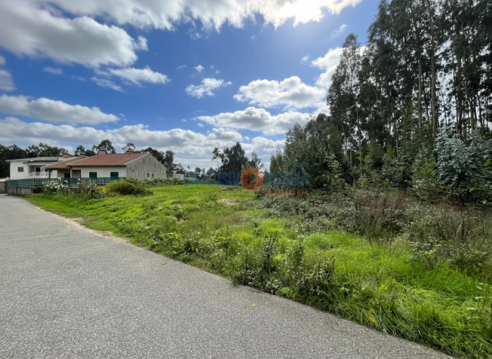 Terreno para Venda em Recardães e Espinhel Foto 2