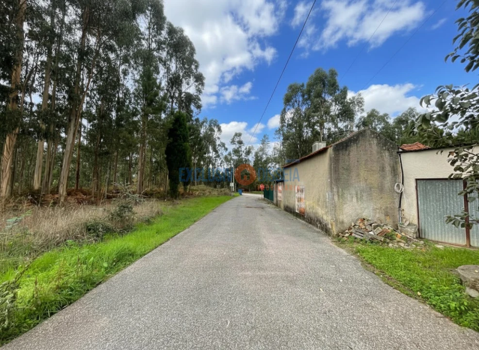 Terreno para Venda em Recardães e Espinhel Foto 3