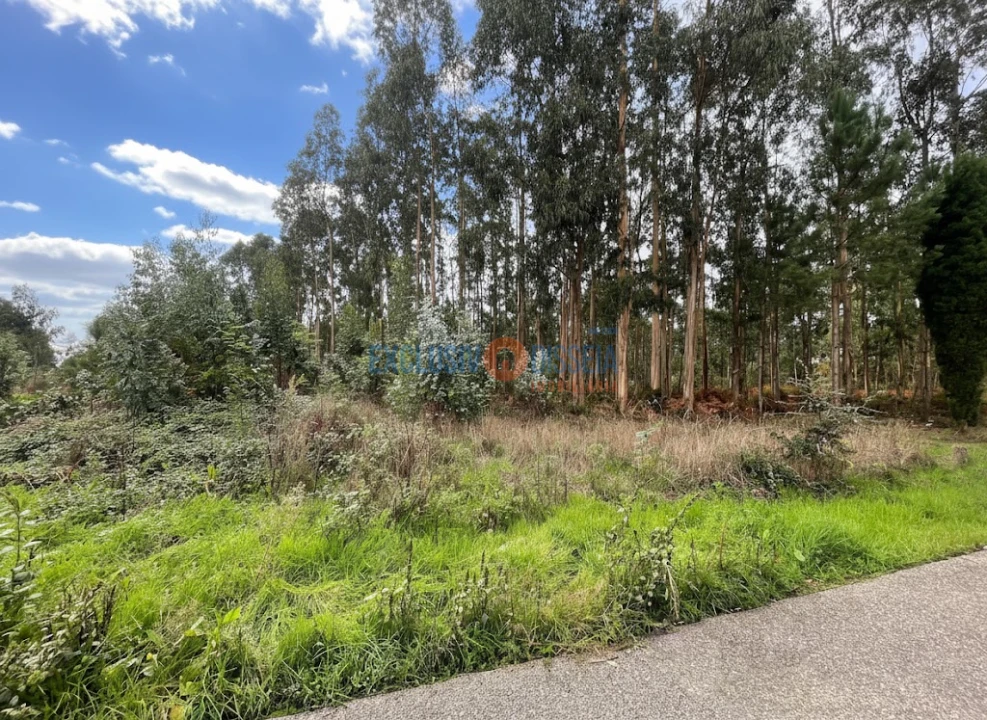 Terreno para Venda em Recardães e Espinhel Foto 4