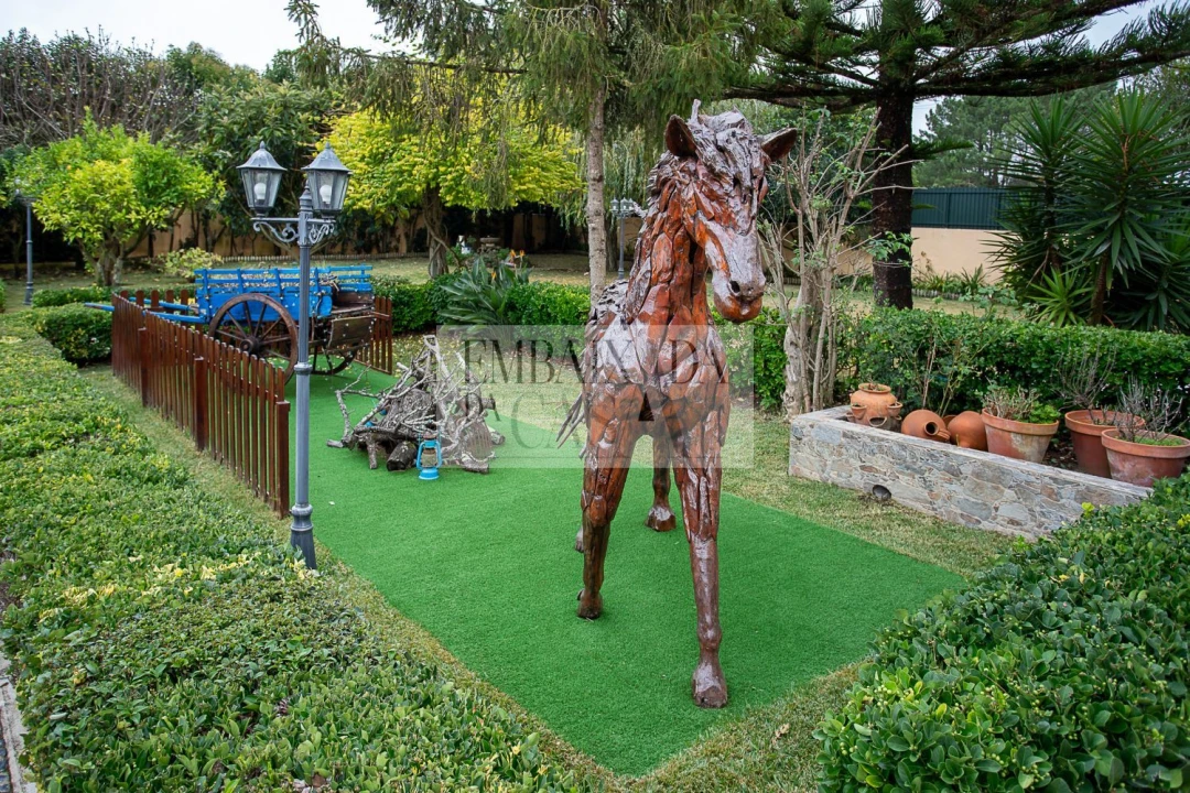 Quinta T3 para Venda em São João das Lampas e Terrugem Foto 4