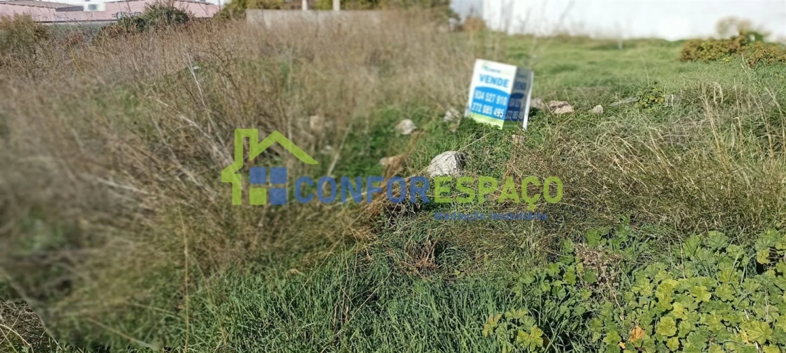 Terreno para Venda em Castelo Branco Foto 1