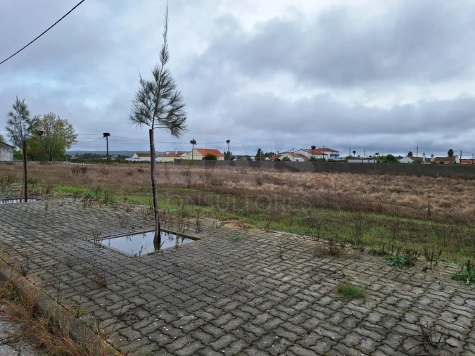 Terreno para Venda em Benfica do Ribatejo Foto 4