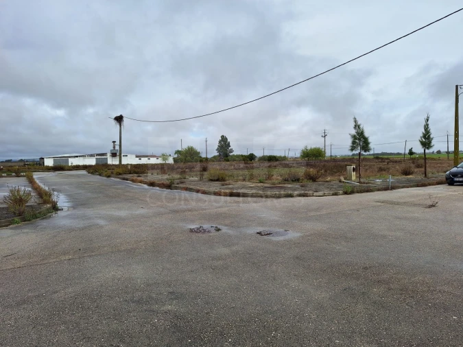 Terreno para Venda em Benfica do Ribatejo Foto 9