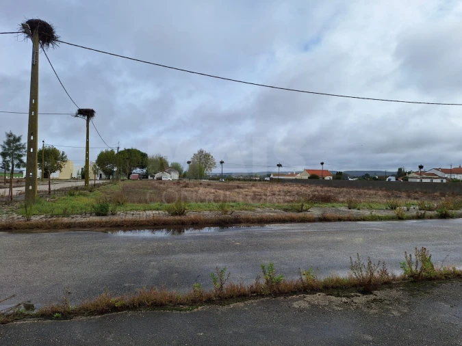 Terreno para Venda em Benfica do Ribatejo Foto 10
