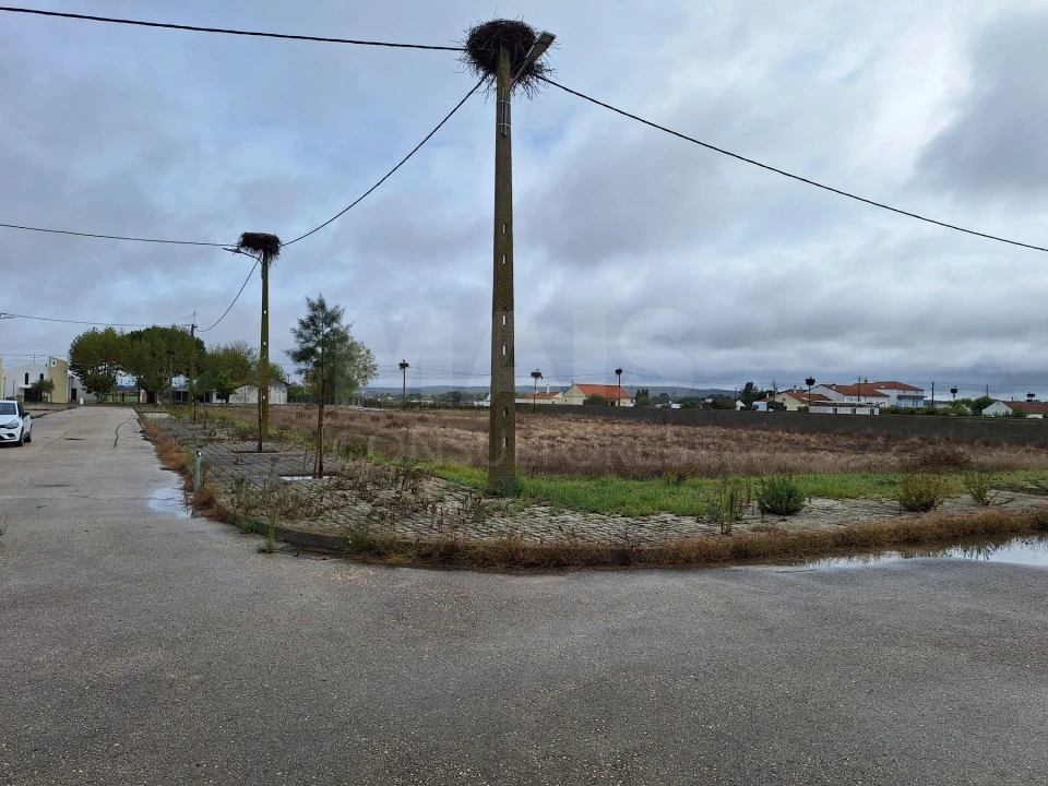 Terreno para Venda em Benfica do Ribatejo Foto 6