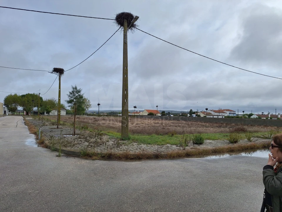 Terreno para Venda em Benfica do Ribatejo Foto 7