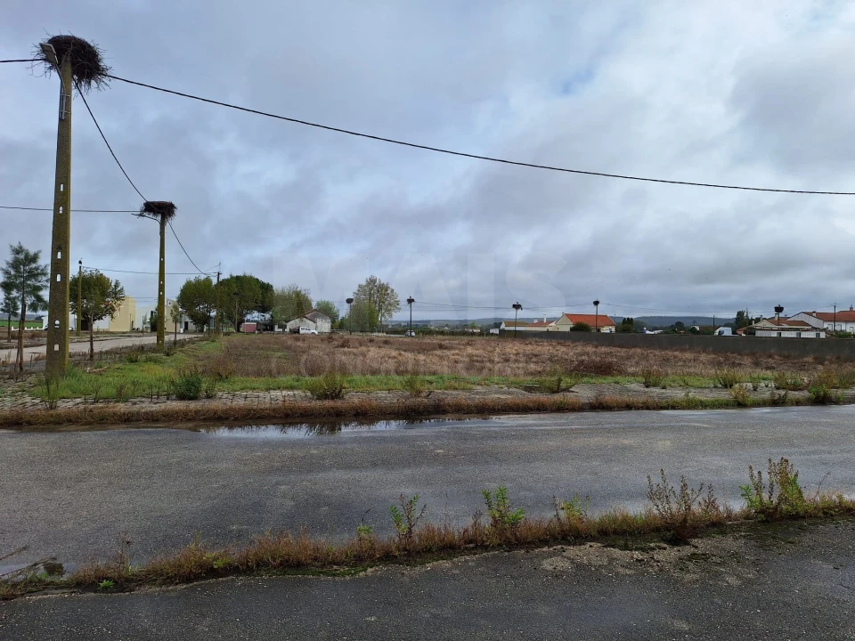 Terreno para Venda em Benfica do Ribatejo Foto 10