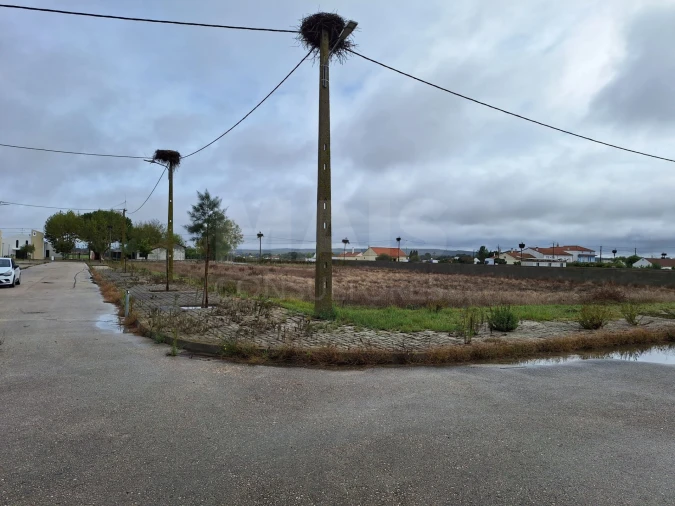 Terreno para Venda em Benfica do Ribatejo Foto 5