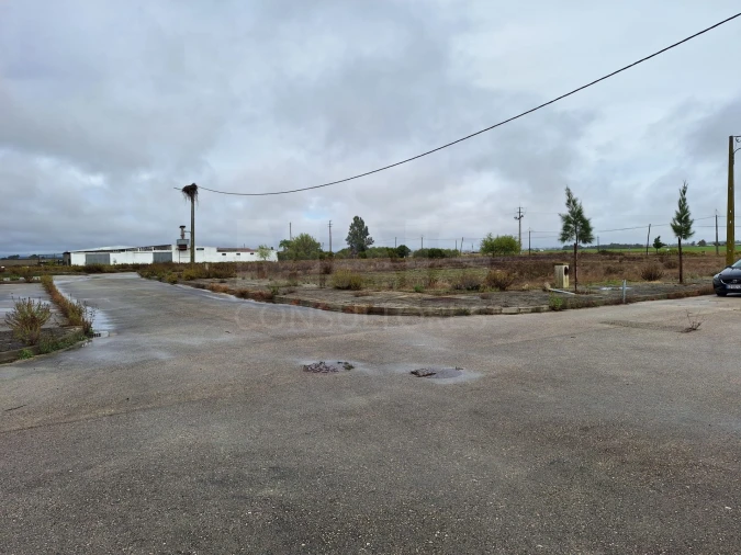Terreno para Venda em Benfica do Ribatejo Foto 8