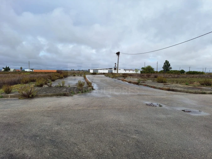 Terreno para Venda em Benfica do Ribatejo Foto 7