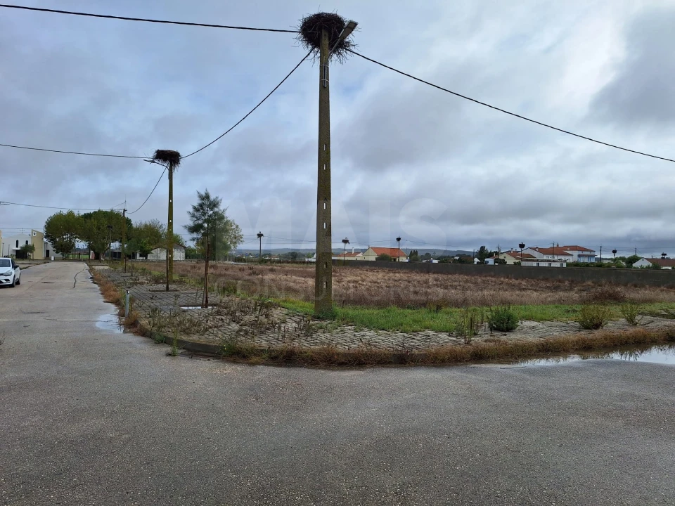 Terreno para Venda em Benfica do Ribatejo Foto 5