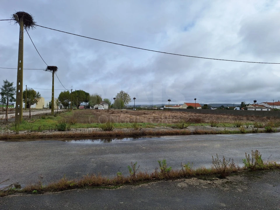 Terreno para Venda em Benfica do Ribatejo Foto 9