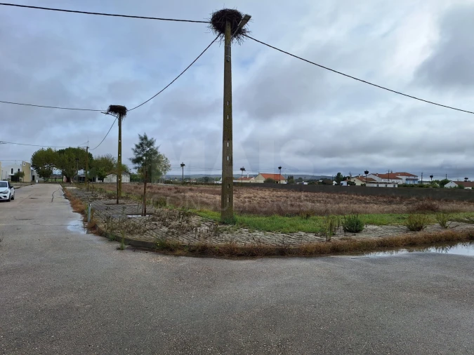 Terreno para Venda em Benfica do Ribatejo Foto 6