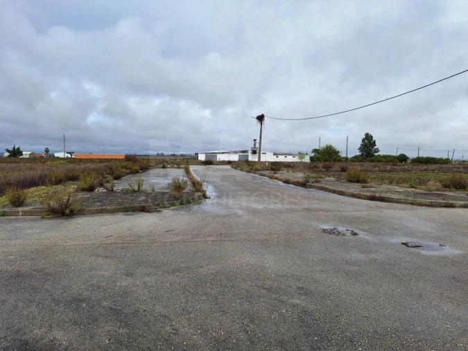Terreno para Venda em Benfica do Ribatejo Foto 3