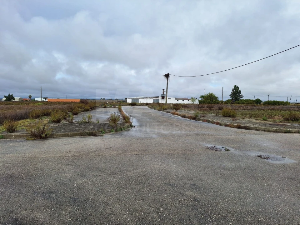 Terreno para Venda em Benfica do Ribatejo Foto 1
