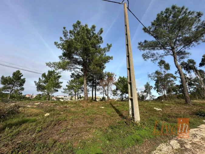 Terreno para Venda em Mafra Foto 7
