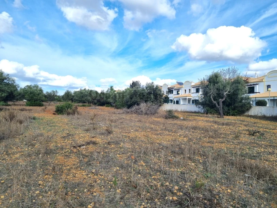 Terreno para Venda em Ferreiras Foto 2