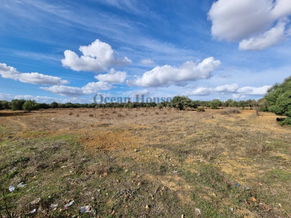 Terreno para Venda em Ferreiras Foto 4