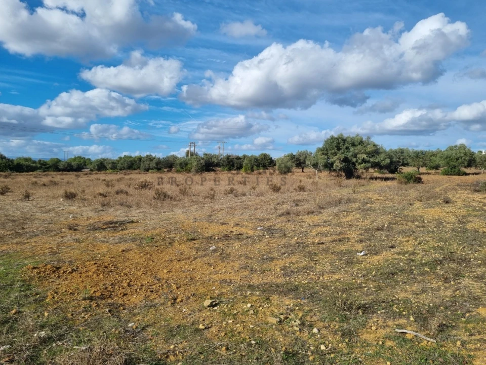 Terreno para Venda em Ferreiras Foto 6