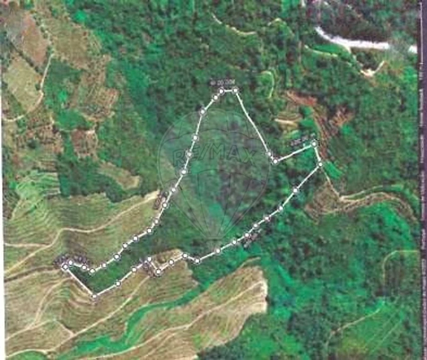 Terreno para Venda em Vila Seca e Santo Adrião Foto 7