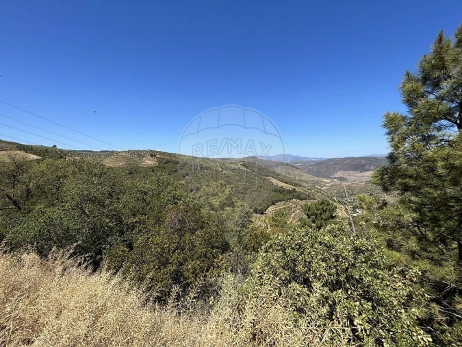 Terreno para Venda em Vila Seca e Santo Adrião Foto 5