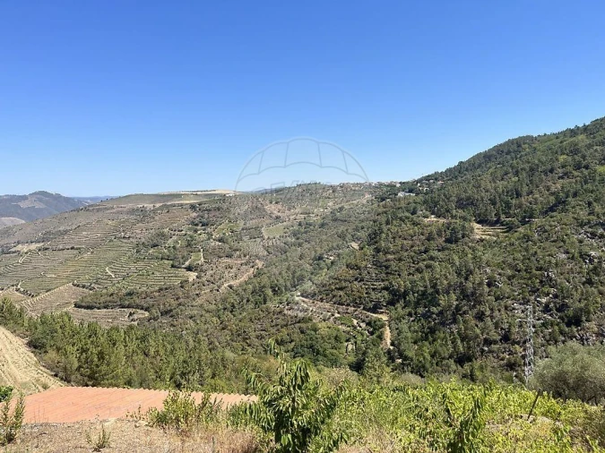 Terreno para Venda em Vila Seca e Santo Adrião Foto 3