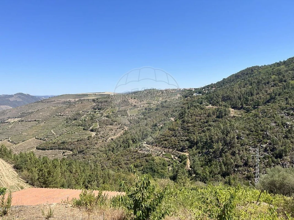 Terreno para Venda em Vila Seca e Santo Adrião Foto 3