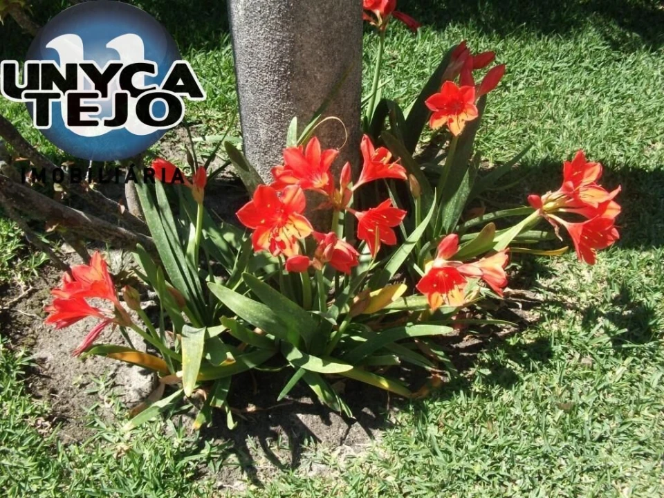 Apartamento T3 para Venda em Carvalhal Foto 27