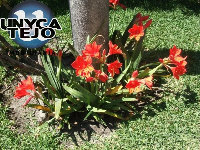 Apartamento T3 para Venda em Carvalhal Foto 27