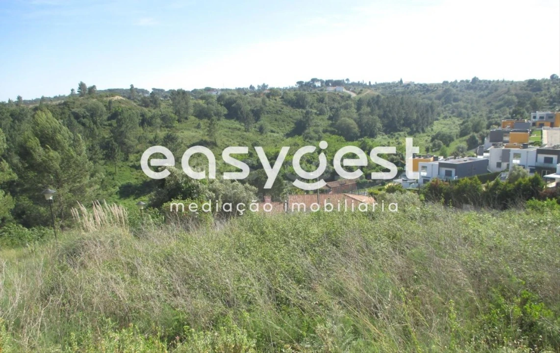Terreno para Venda em São João Baptista e Santa Maria dos Olivais Foto 8